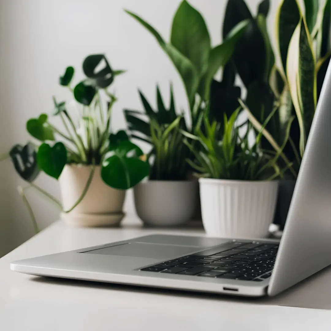 Praktische tools en websites 