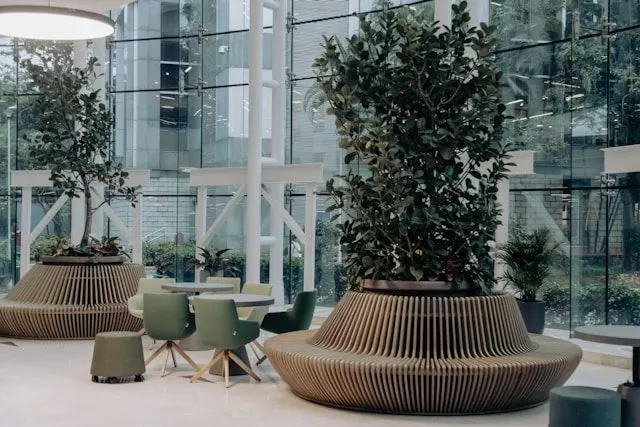 The office lobby provides a welcoming environment, combining modern aesthetics with natural elements.
