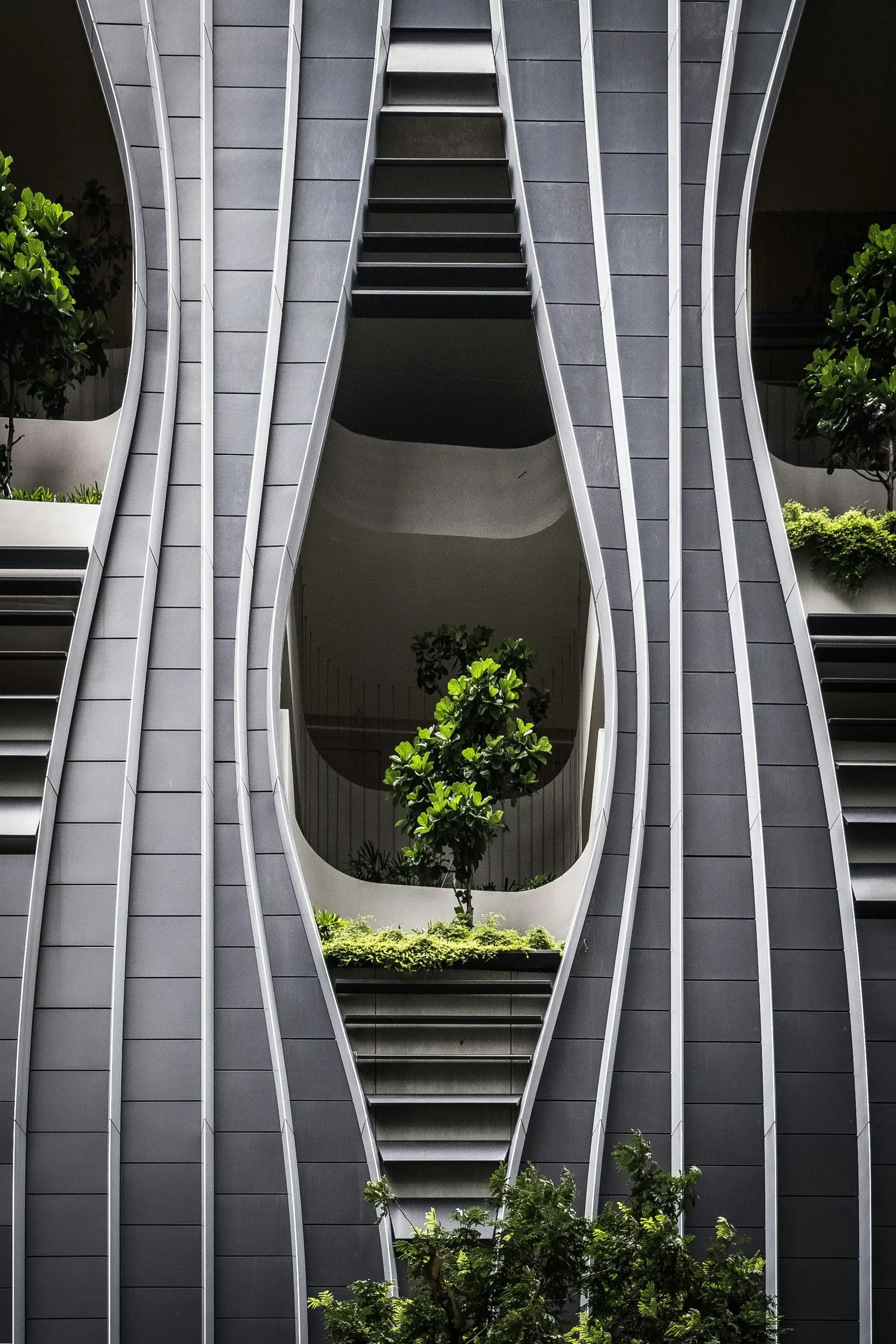 Blog #4 Biomimicry in interieur: De natuur als onze grootste inspiratiebron