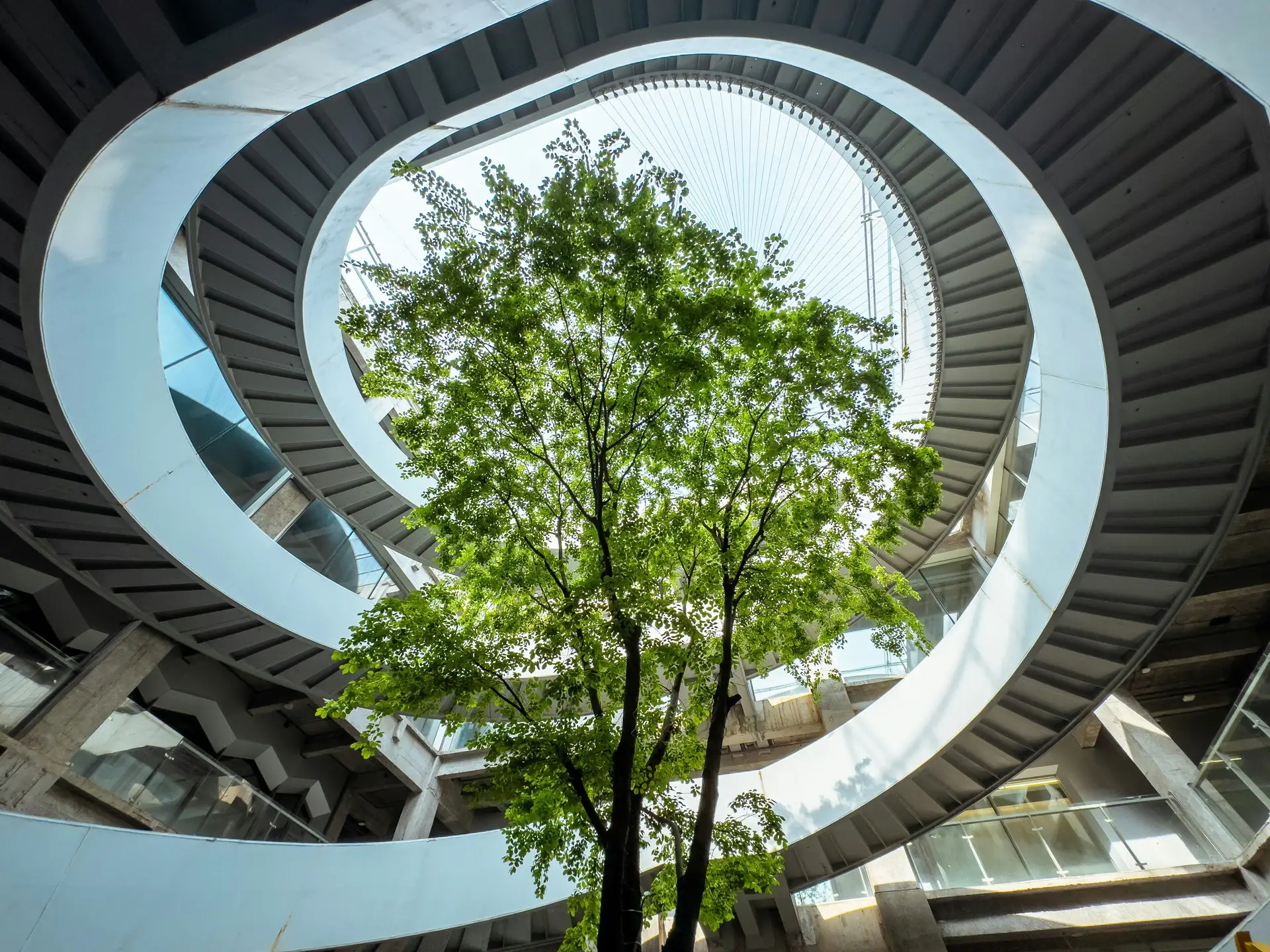 Blog #3 Biophilic Design in het interieur: verrijk je leefomgeving met de kracht van de natuur