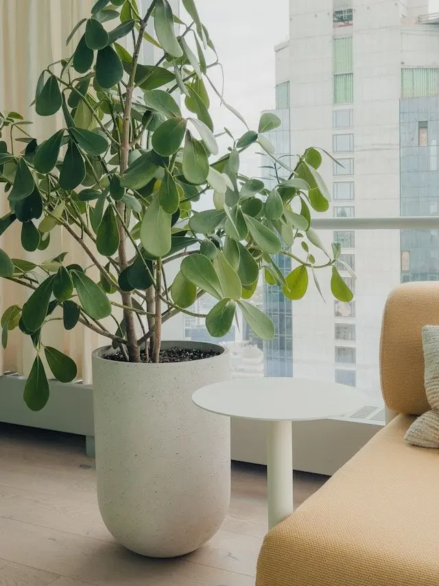 duurzaam interieur