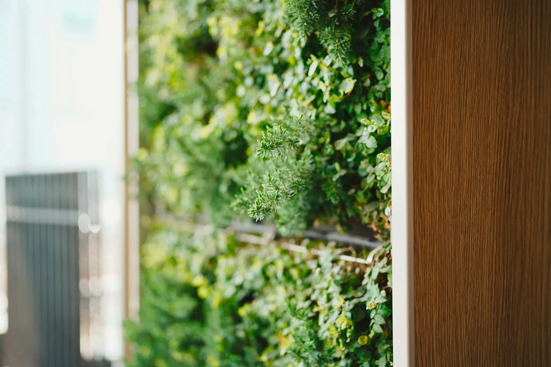Blog #10 Gezond ontwerpen: de impact van je interieur op je welzijn